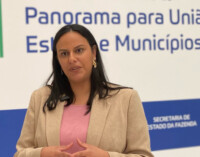 Sarah Tarsila Araújo Andreozzi, Secretaria de Estado da Fazenda